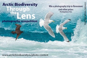 Arctic Biodiversity Through the Lens Photography Competition 2018 .jpg