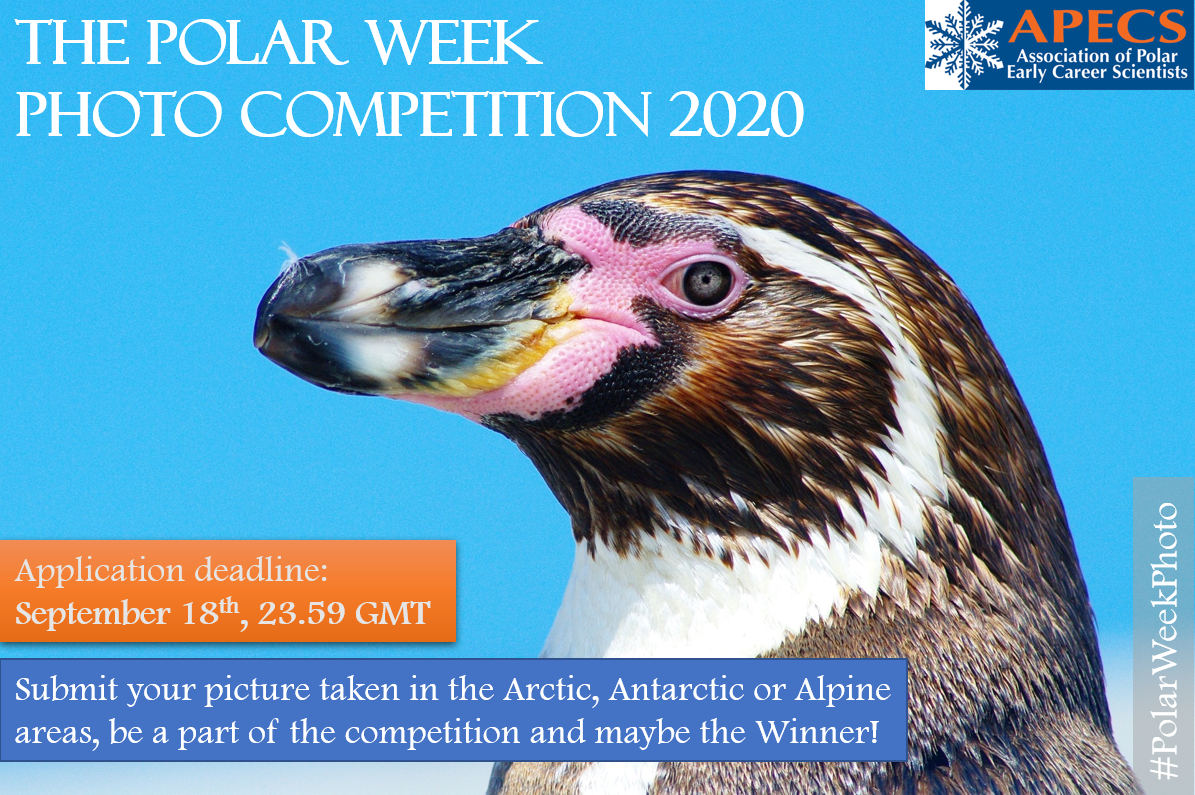 103 Vural Deniz Pixabay Polar Week September 2020 Photo Contest