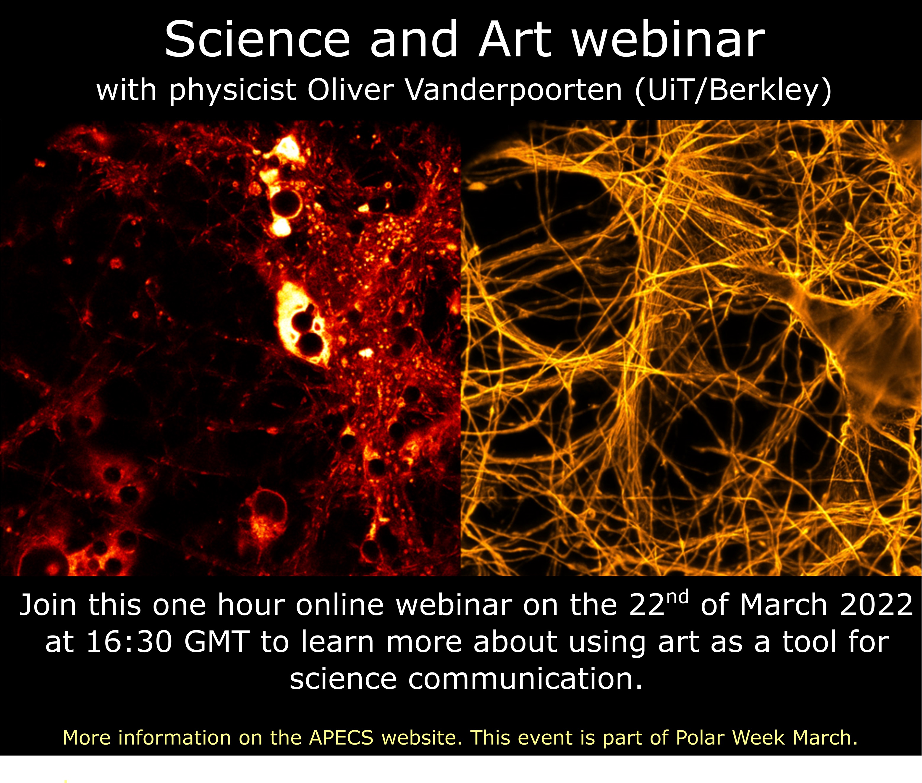 524 Polar Week March 2022 Webinar oliver vanderpoorten Anastasia Deyko