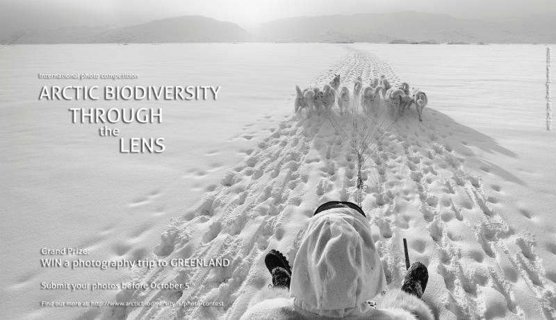 ABio photocontest2014