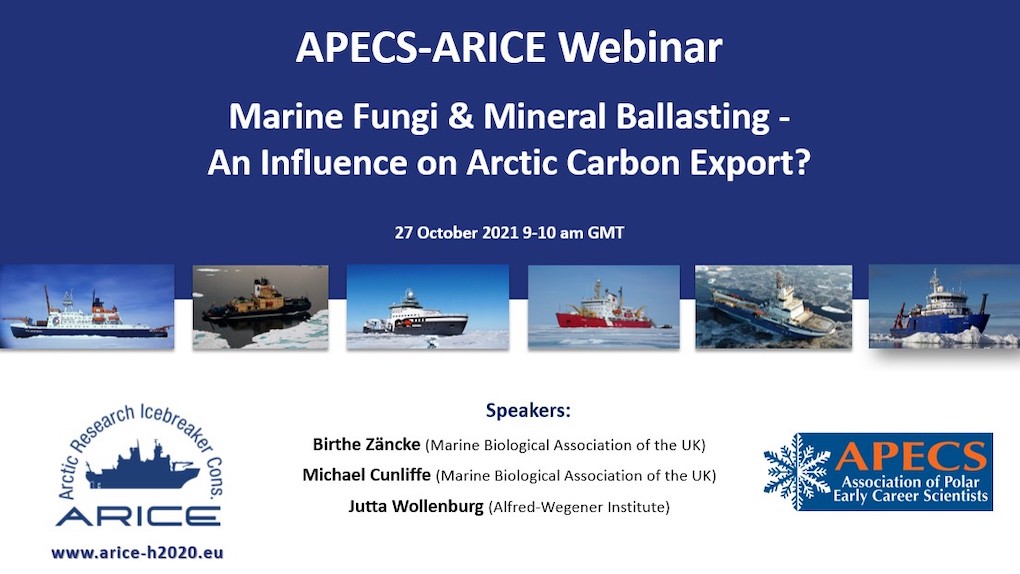 APECS ARICE webinar ProMis website