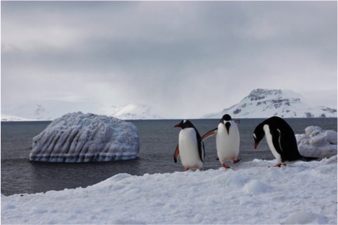 Belgium Netherlands Photo Comp2016