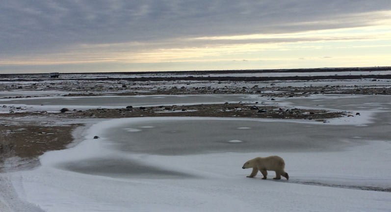 LIesenberg Carsten Polar Outreach Blog 2015
