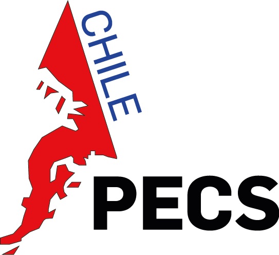 Association of Polar Early Career Scientists - APECS Chile Mentor Panel ...