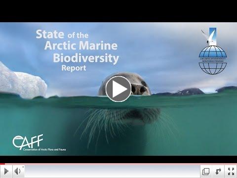 912ee04fd126438ba0902ace49666163