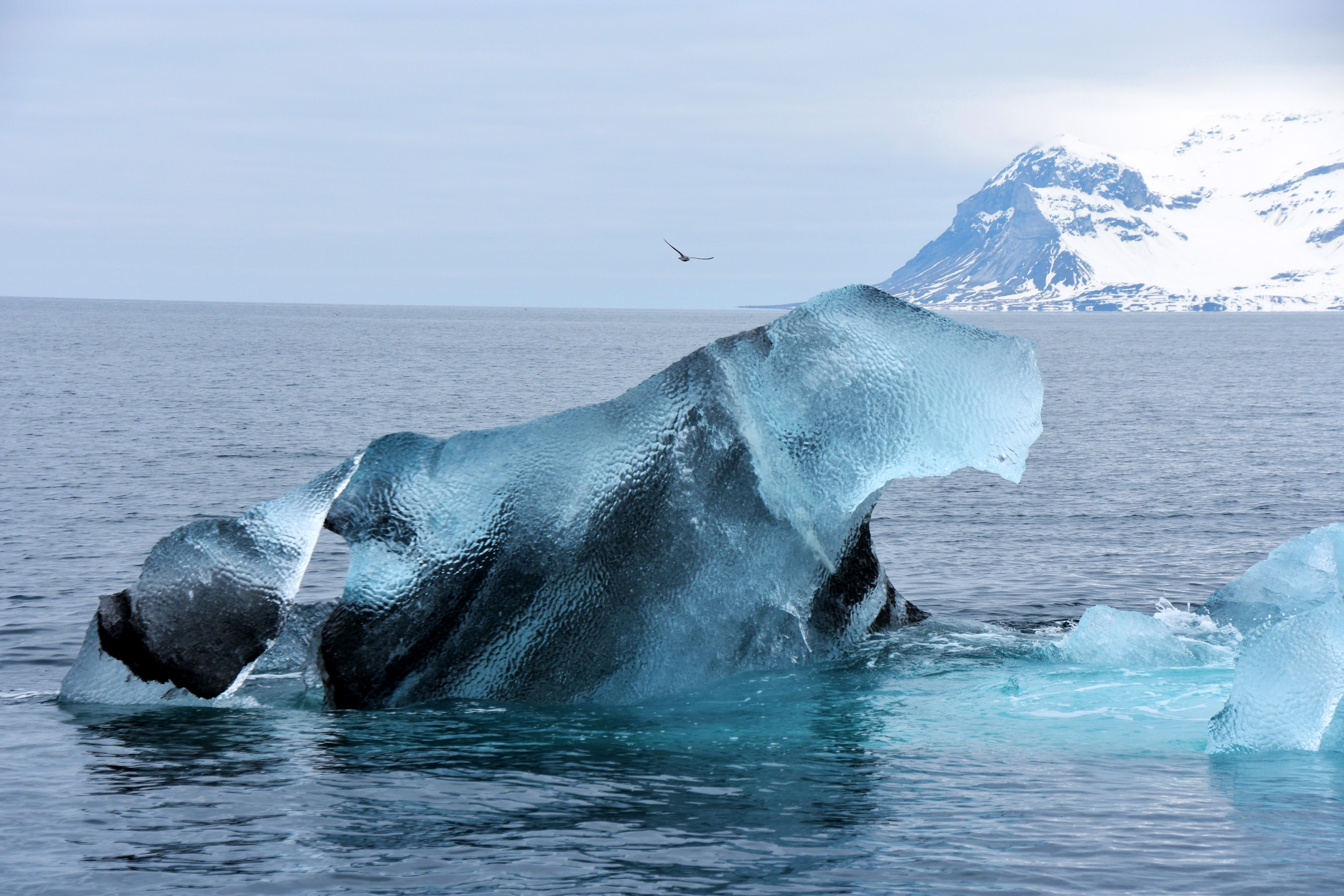 286 Floreana Miesen Polar Week March 2021 Photo Competition