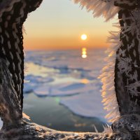 7 - Julia Giebichenstein