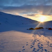 8 - Flore Van Maldeghem