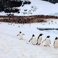 10 - Wilson Wai Yin Cheung