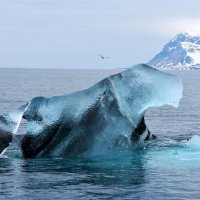 12 - Floreana Miesen