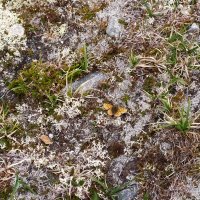 16 - Francesca Stoppani