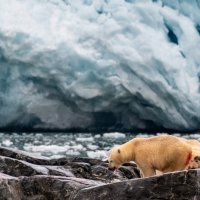 18 - Jan Phillipp Geißel