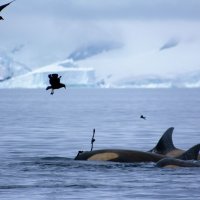 16 - Diego Fernando Mojica Moncada