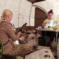 38 - Katrina Grigorjeva