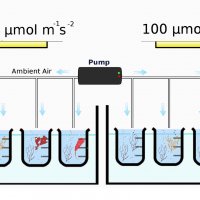 39 - Valentina Savaglia