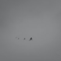 5 - Sergey Chernikov