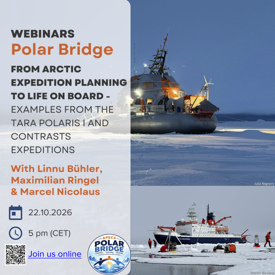 Polar Bridge